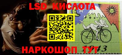 прущие грибы Новодвинск