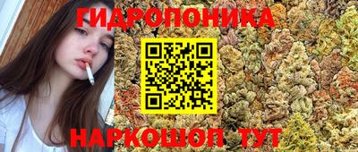 гидропоника Новозыбков
