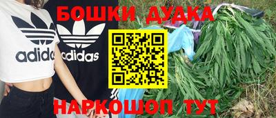 гидропоника Новозыбков