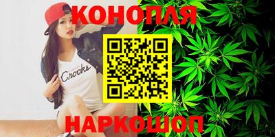 гидропоника Новозыбков