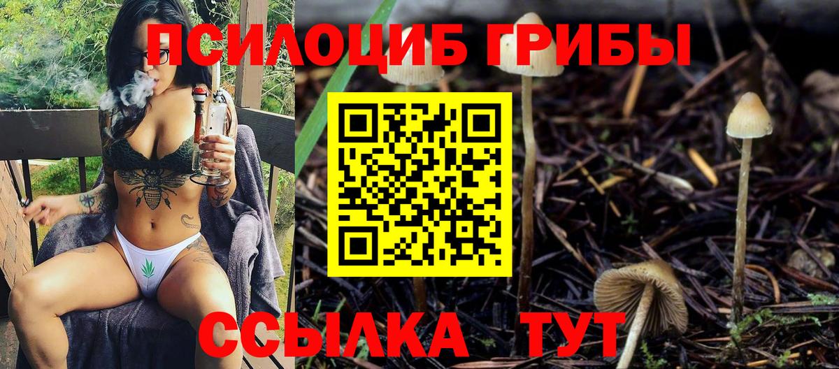 Псилоцибиновые грибы GOLDEN TEACHER  Вход с VPN  Псилоцибиновые грибы GOLDEN TEACHER  Алатырь 